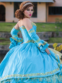  Quinceanera  in San  Antonio  TX  Quinceanera  Dresses  in San  